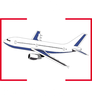 DeSantis Airlines Women's Hoodie