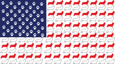 Corgi American Dog Flag Toddler Hoodie