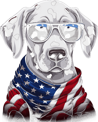 Dalmatian American Flag USA Tee 4th July Gifts Graphic Tees Kids T-Shirt