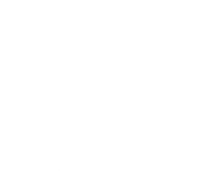 Dog And People Punch Hand Dog Friendship Fist Bump Dogs Paw Women's Long Sleeve Shirt