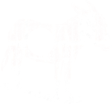 Funny Asshole Donkey Toddler Sweatshirt