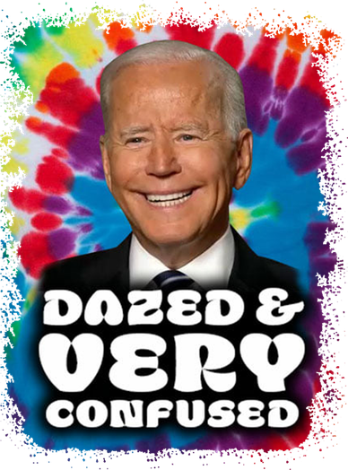 Dazed And Very Confused Joe Biden Hippie Kids Hoodie