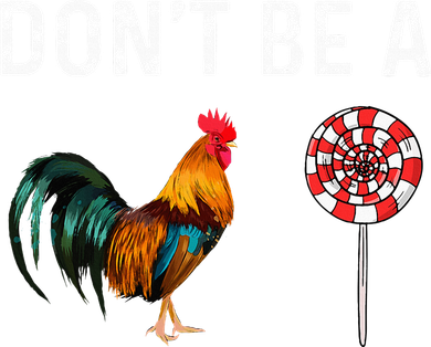 Don't Be A Cock Sucker Sarcastic Kids Hoodie