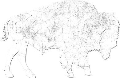 Distressed Buffalo Retro Bison Animal Lover Baby Bodysuit