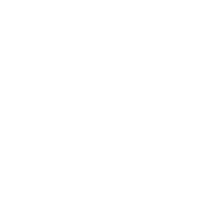 Dandelion Birds Tank Top