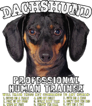 Dachshund Black Tan Professional Human Trainer Cute Dog Women's Dry Zone Grid Polo
