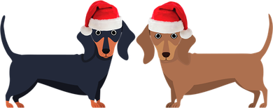 Dachshund Christmas Cool Gift Hooded Wearable Blanket