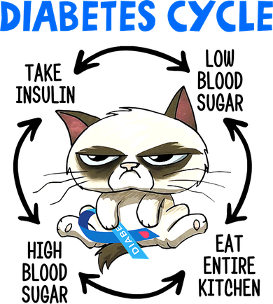 Diabetes Cycle Diabetes Awareness Funny Cat Lover Toddler Hoodie