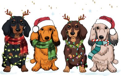 Dachshund Christmas Dog Lover Family Women's Sweatshirt