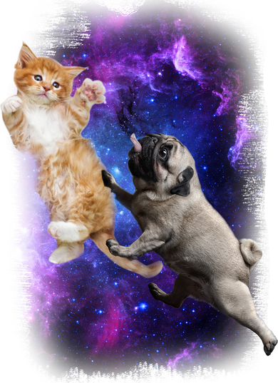 Cat And Pug In Space Kids Sweatshirt