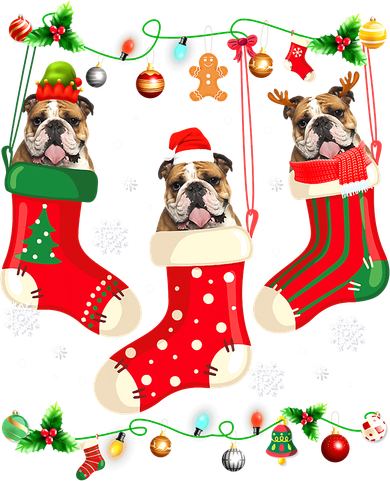 Dog Christmas Light Three English Bulldog In Christmas Sock Women's Dry Zone Grid Polo
