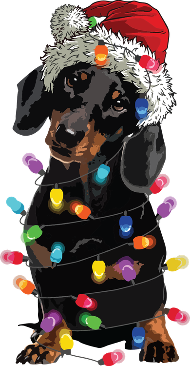 Dachshund Christmas Loves Led Cute Dog Long Sleeve Shirt