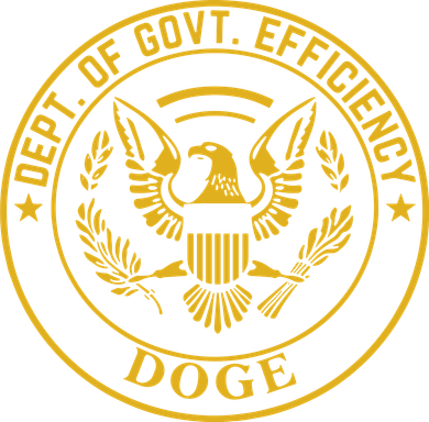 Dixiechick Doge Dept Of Govt Efficiency Hat