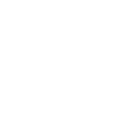 Dill Doe Funny Inappropriate Party Naughty Reindeer She Doddie Hoodie