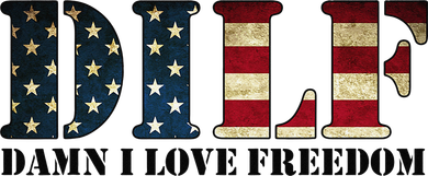 DILF Damn I Love Freedom Funny Patriotic USA Flag Kids Hoodie