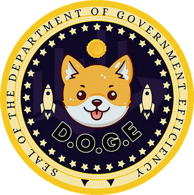 D.O.G.E Department Of Government Efficiency Crypto Cbdc Kids Hoodie