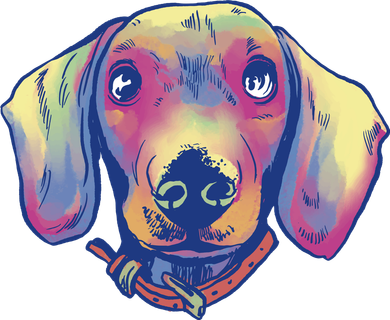 Dachshund Dog Portrait Women's Long Sleeve Shirt