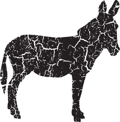 Donkey Distressed Print Vintage Donkey Women's T-Shirt