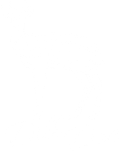 DillDoe Funny Deer Dill Doe Pickle Meme Mashup Women's Sweatshirt