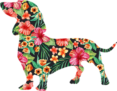 Dachshund Flower Funny Dog Silhouette Floral Gifts Women Women's Sweatshirt