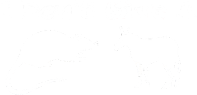 Who Gives A Rats Ass Women's Tank Top