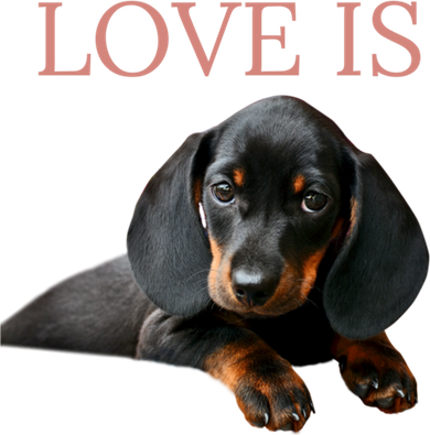 Dachshund Gift Dog Mom Dad Men Women Kids Gift Doxie Gift Baby Bodysuit