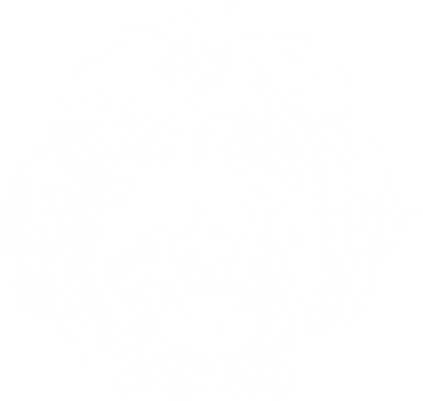 Doodles Goldendoodle Labradoodle Line Drawing Gift Women's T-Shirt