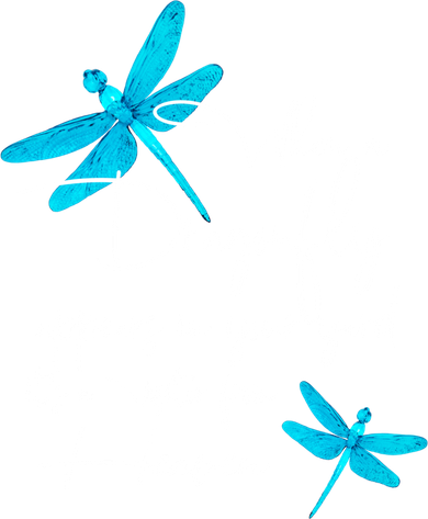 Dragonfly Gift Spiritual Faith Dragonflies Sweatshirt