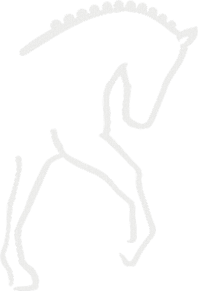 Dressage Horse Baby Bodysuit