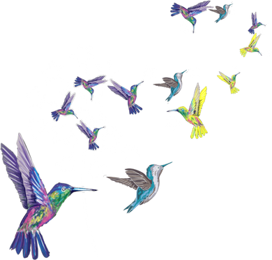 Dandelion Hummingbird Flower For Birdwatcher Herbalist Gift Kids Hoodie