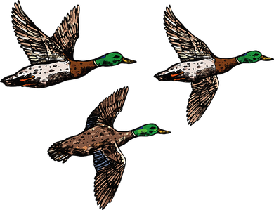 Duck Hunting Hunter Toddler Long Sleeve
