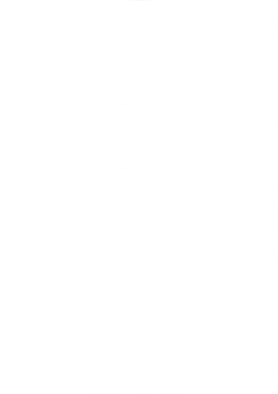 Santa I Do It For The Ho's Funny X-Mas Santa Hat