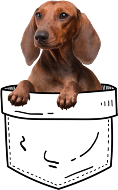 Dachshund In Pocket Cool Gift Doxie Dog Lover Meaningful Gift Baby Bodysuit