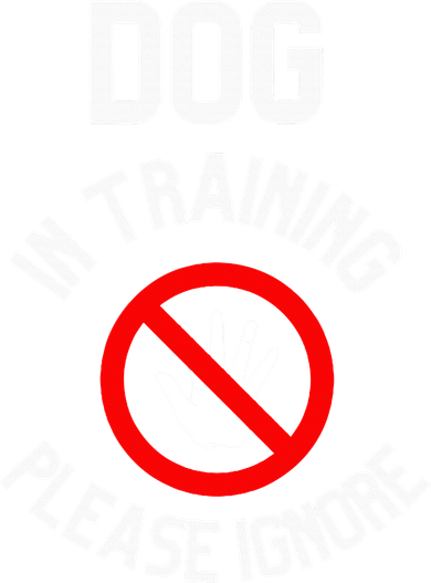 Dog In Training Please Ignore Women's Hoodie