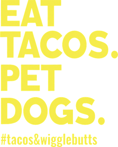Dog Lover Eat Tacos Pet Dogs Funny Animal Button