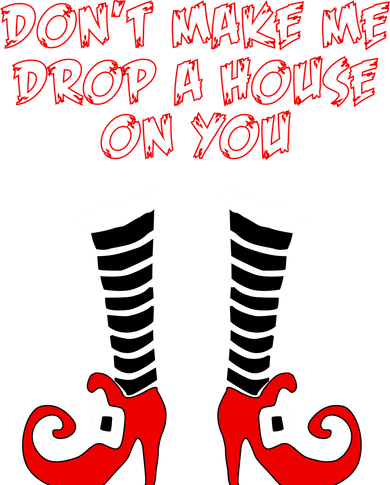 Don't Make Me Drop A House On You Women's Hoodie