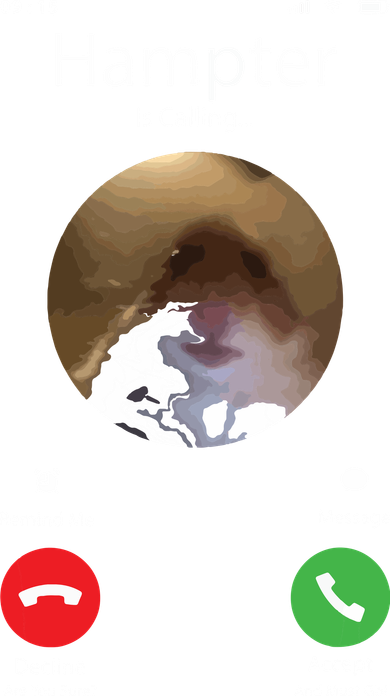 Dank Meme Hamster Staring Front Camera Hampter Calling 11oz C Handle Ceramic Mug