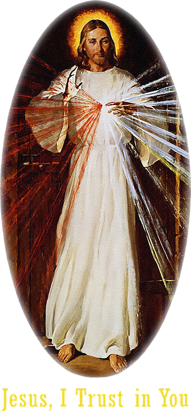 Divine Mercy Jesus I Trust In You (2) Kids T-Shirt