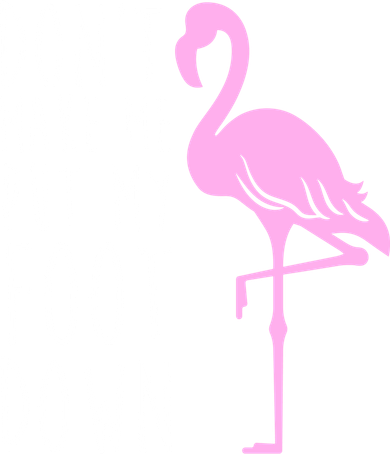 Don't Make Me Put My Foot Down Flamingo Sweatshirt