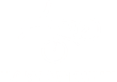 I Do My Own Stunts Women's Hoodie