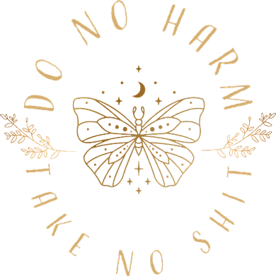 Do No Harm Take No Shit Witchy Moon Moth Kids Sweatshirt