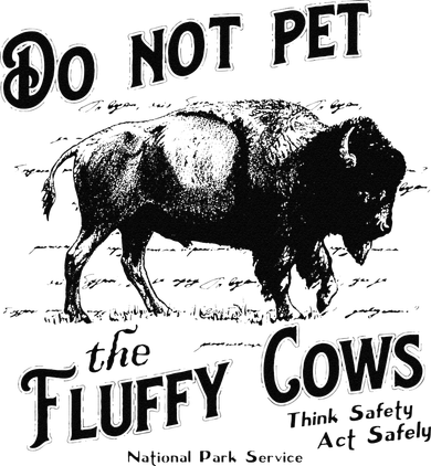 Do Not Pet The Fluffy Cows American Bison Vintage Toddler Hoodie