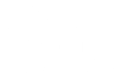 Dibs On The Coach Women's V-Neck T-Shirt
