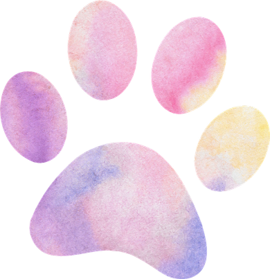 Dog Paw colorful Print Dog Love Pet Paw Bucket Hat