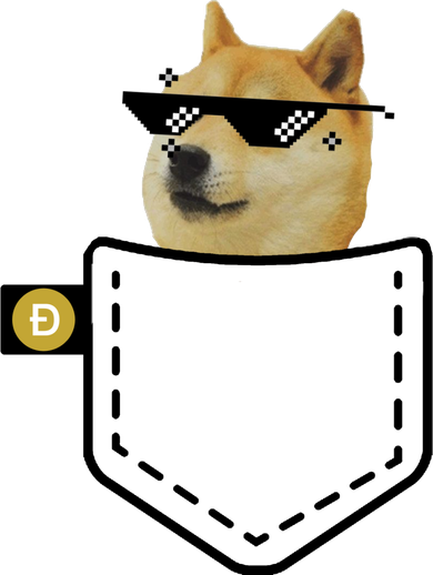 Dogecoin Pocket Doge Coin Kids Hoodie