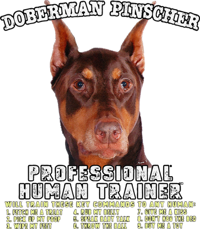 Doberman Pinscher Red Professional Human Trainer Cute Dog Coaster
