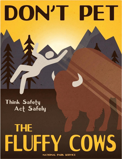 Dont Pet The Fluffy Cows Bucket Hat