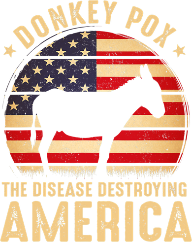Donkey Pox The Disease Destroying America USA Flag Funny Vintage Toddler Hoodie