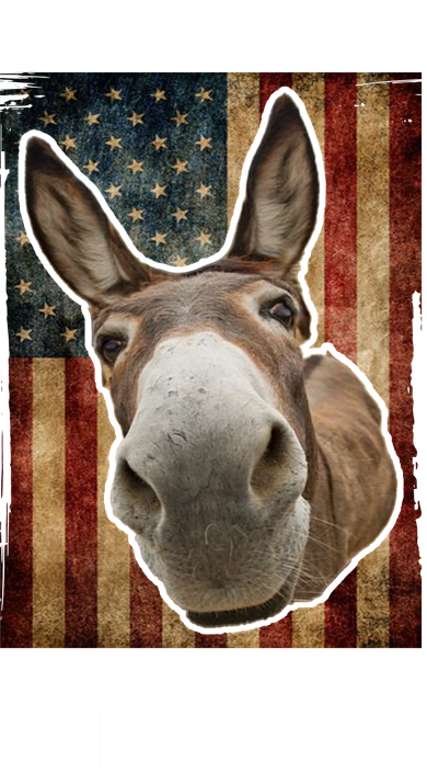 Donkey Pox The Disease Destroying America Funny Toddler Hoodie