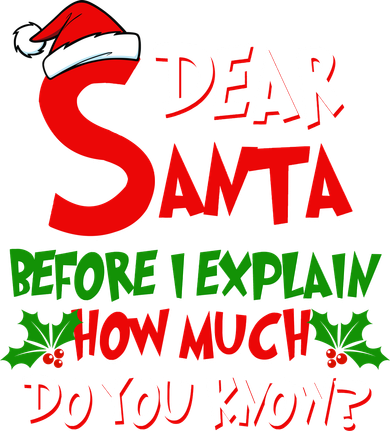 Dear Santa Before I Explain How Much Do You know Doddie Hoodie